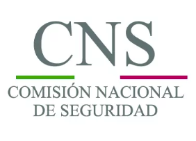 CNS