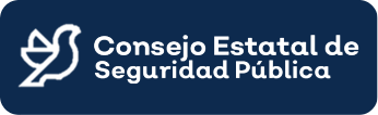 Consejo Estatal de Seguridad Publica